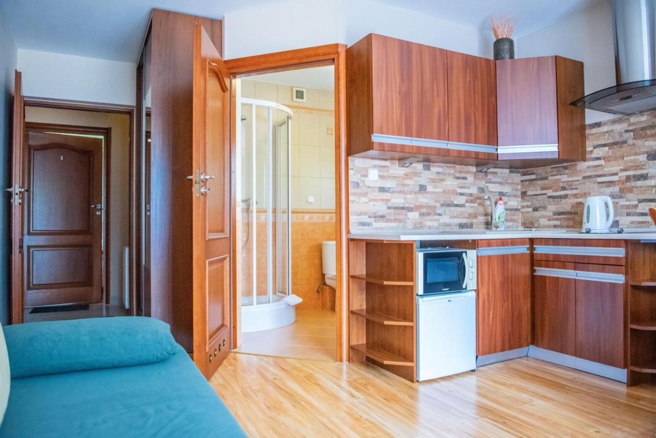 Apartamenty Willa Alesandro Zakopane Dış mekan fotoğraf