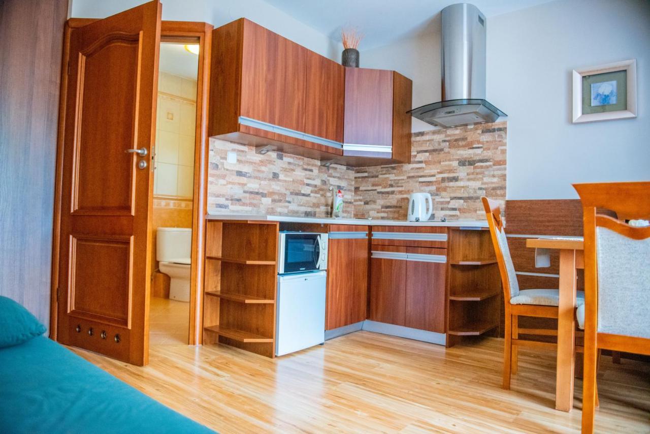 Apartamenty Willa Alesandro Zakopane Dış mekan fotoğraf